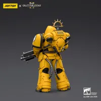 JOYTOY Game Edition Imperial Fists Heavy Intercessor with Heavy Bolt Rifle and Bolt Pistol - Warhammer 40K - photo 2