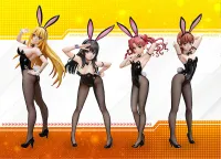 FREEing Ruiko Saten: Bunny Ver. - A Certain Scientific Railgun - photo 11