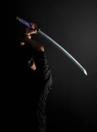 TAMASHII NATIONS RORONOA ZORO THREE SWORD STYLE set (Wado Ichimonji,Sandai Kitetsu,Enma) "ONE PIECE", TAMASHII NATIONS PROPLICA - ONE PIECE - photo 28