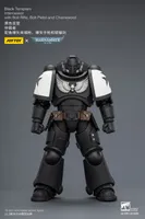 JOYTOY Black Templars Intercessor with Bolt Rifle, Bolt Pistol and Chainsword - Warhammer 40K - photo 14
