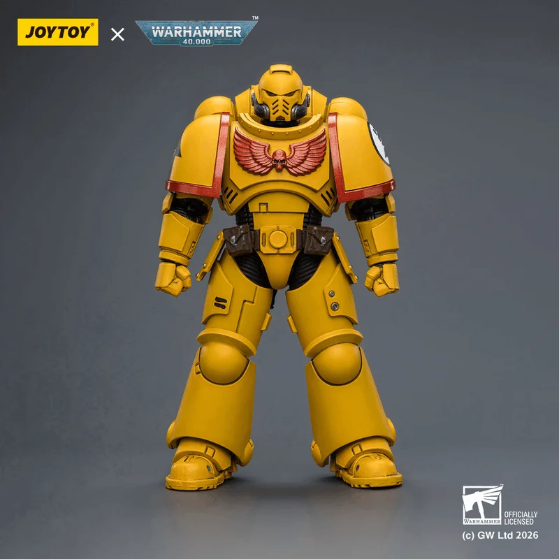 Imperial Fists Intercessor with Bolt Rifle, Bolt Pistol and Chainsword