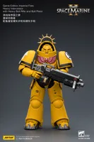 JOYTOY Game Edition Imperial Fists Heavy Intercessor with Heavy Bolt Rifle and Bolt Pistol - Warhammer 40K - photo 13
