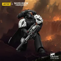 JOYTOY Raven Guard Mor Deythan Shade with Nemesis bolt rifle - Warhammer 40K - photo 13