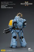 JOYTOY Game Edition Space Wolves Heavy Intercessor with Heavy Bolt Rifle and Bolt Pistol - Warhammer 40K - photo 15