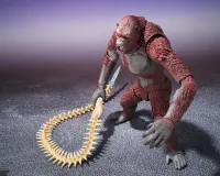 TAMASHII NATIONS SKAR KING FROM GODZILLA x KONG: THE NEW EMPIRE "GODZILLA x KONG: THE NEW EMPIRE", TAMASHII NATIONS S.H.MonsterArts - Godzilla - photo 9