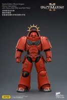 JOYTOY Game Edition Blood Angels Heavy Intercessor with Heavy Bolt Rifle and Bolt Pistol - Warhammer 40K - photo 12