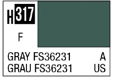 H317 Gray FS36231 [US navy aircraft standard color]