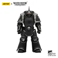 JOYTOY Raven Guard MK III Tactical Legionary with Bolter and Bolt Pistol - Warhammer 40K - photo 7
