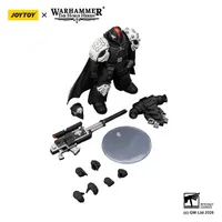 JOYTOY Raven Guard Mor Deythan Shade with Nemesis bolt rifle - Warhammer 40K - photo 12