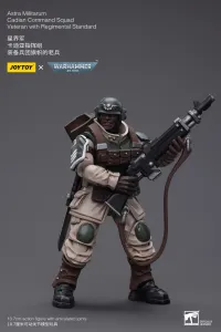 JOYTOY Astra Militarum Cadian Command Squad Veteran with Regimental Standard - Warhammer 40K - photo 7