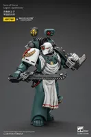 JOYTOY Sons of Horus Legion Apothecary - Warhammer 40K - photo 17