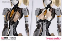 Earnestcore Craft RS-03 Starflower Lily MK3 - rosado Project - photo 2