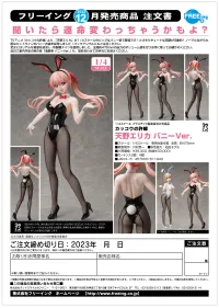FREEing Erika Amano: Bunny Ver. - A Couple of Cuckoos - photo 10